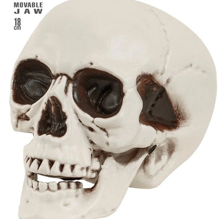 SCHEDEL MIT BEWEGLICHEM KIEFER 18 CM