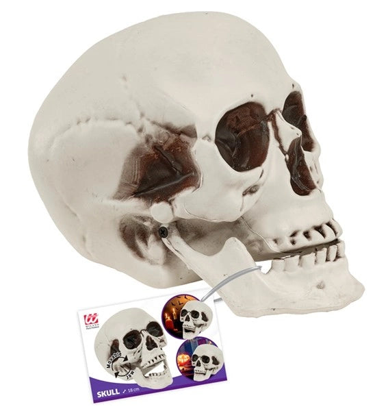 Halloween-Schädel mit beweglichem Kiefer