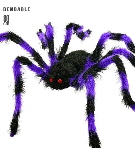 Schwarz-lila haarige Spinne mit biegsamen Beinen
