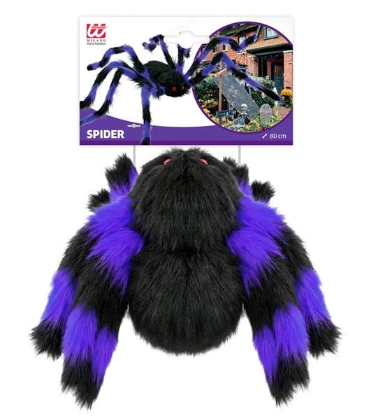 Schwarz-lila haarige Spinne mit biegsamen Beinen