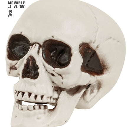 Schädel mit beweglichem Kiefer 12cm