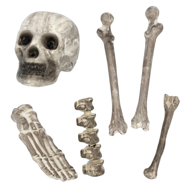 Halloween Skelett 6Stück