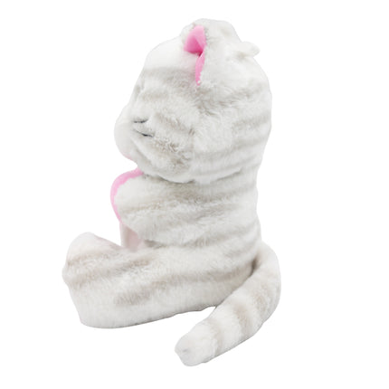 Katze Ballon Gewicht Umarmung 170gr