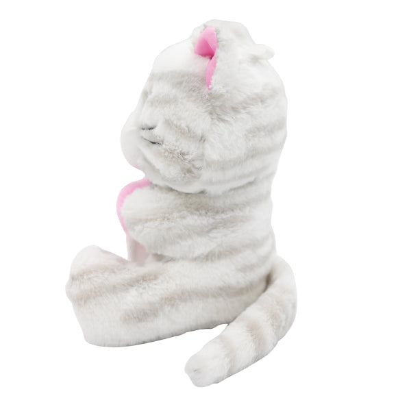 Katze Ballon Gewicht Umarmung 170gr