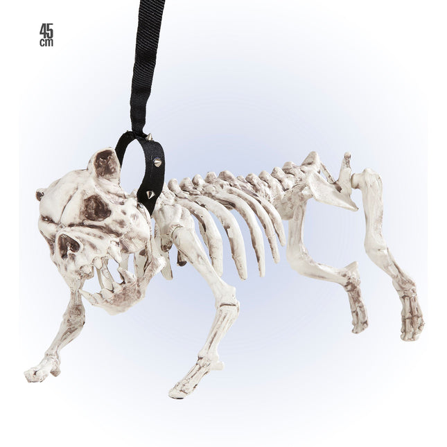 Halloween Skelett Hund mit Gürtel 45cm