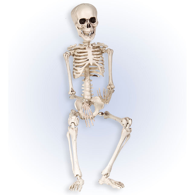 Halloween Skelett Weiß 50cm