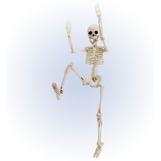 Halloween Skelett Weiß 50cm