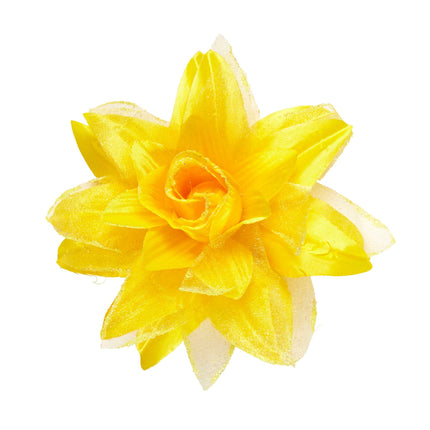 Gelbe Haarblume