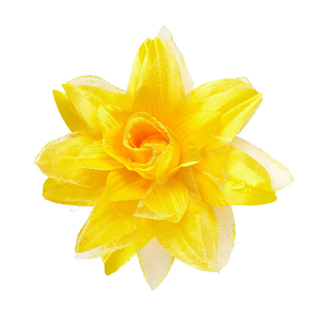 Gelbe Haarblume