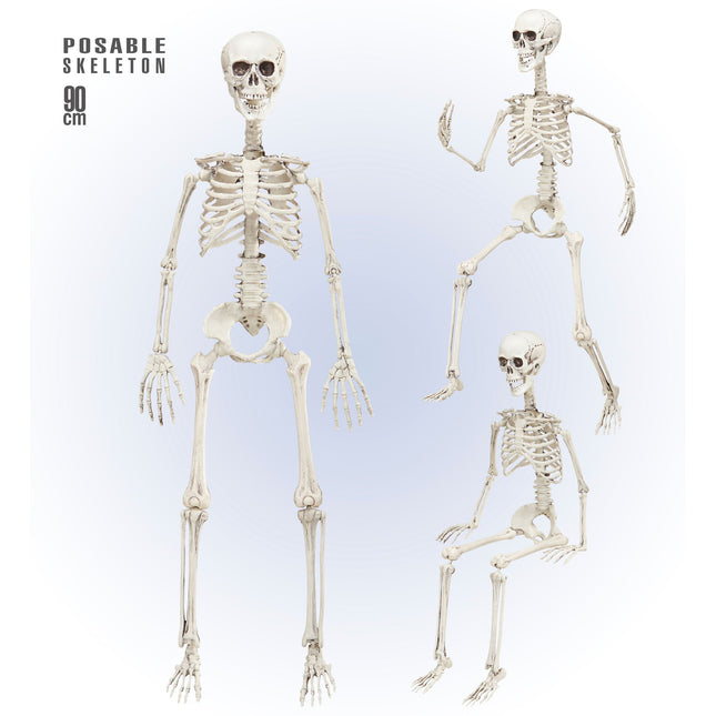 Halloween Skelett Beweglich 90cm