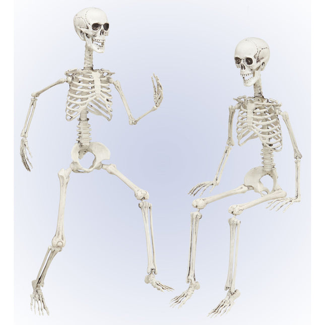 Halloween Skelett Beweglich 90cm