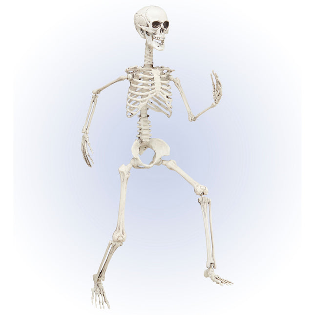Halloween Skelett Beweglich 90cm