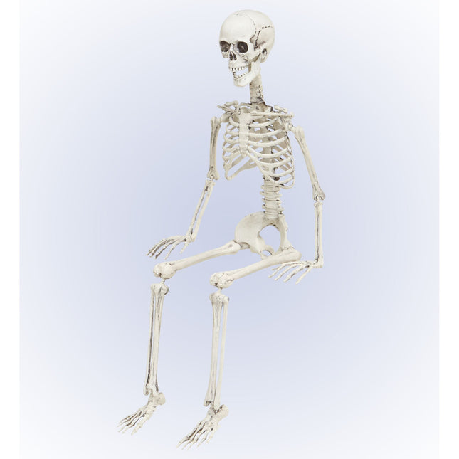 Halloween Skelett Beweglich 90cm
