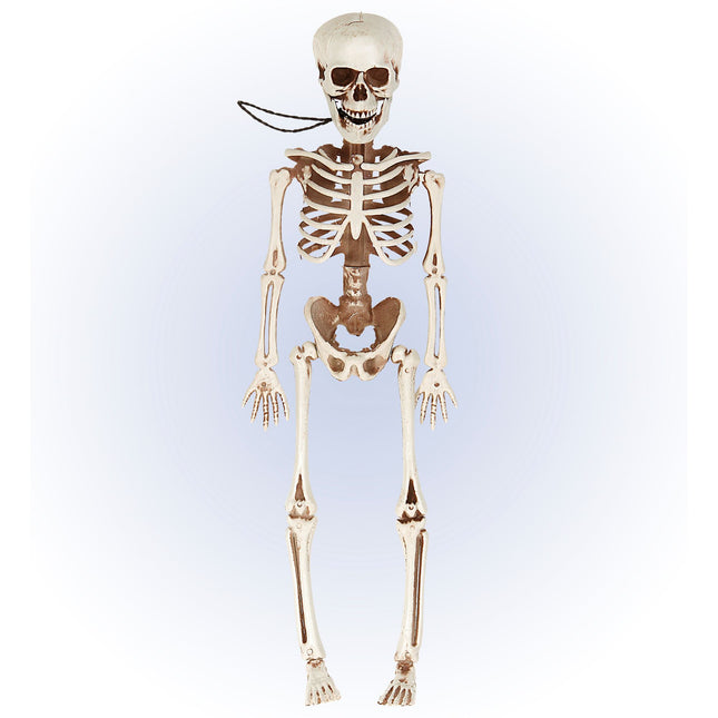 Halloween Skelett beweglich 40cm