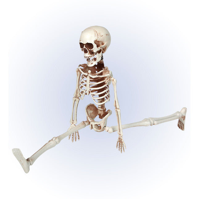 Halloween Skelett beweglich 40cm