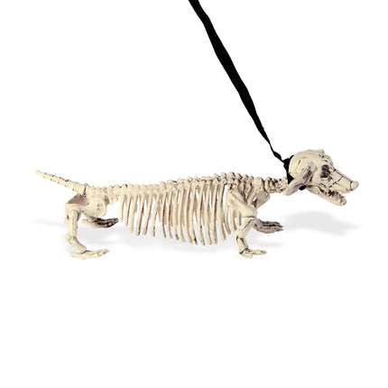 Halloween Skelett Tekkel mit Gürtel