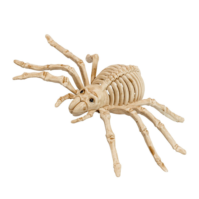 Halloween Fake Spinnenskelett 24cm