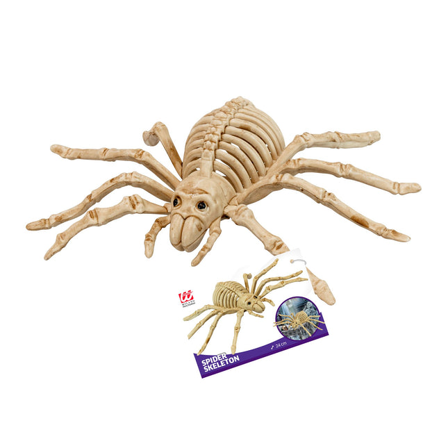 Halloween Fake Spinnenskelett 24cm