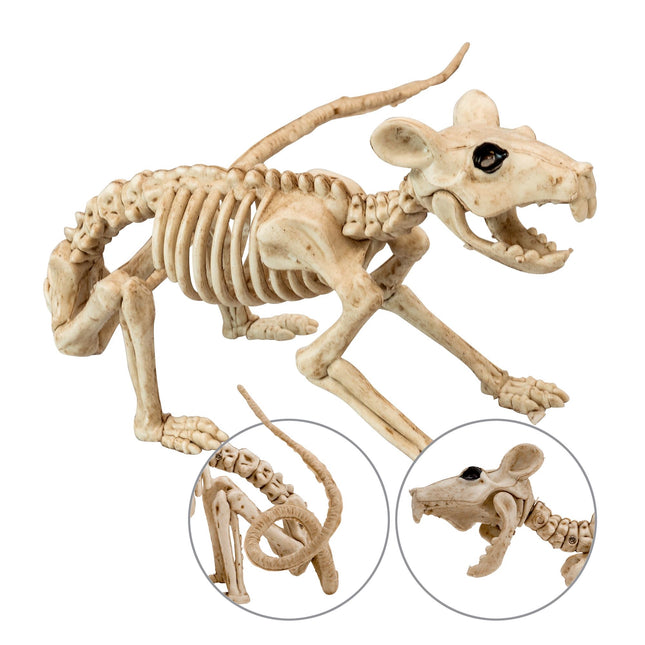 Halloween Skelett Ratte 40cm