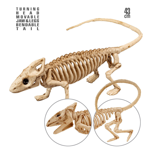 Halloween Skelett Leguan 43cm