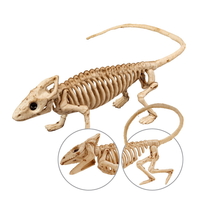 Halloween Skelett Leguan 43cm