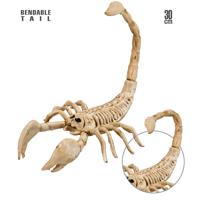 Halloween Skelett Skorpion 30cm