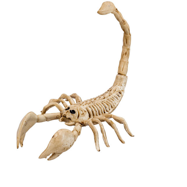 Halloween Skelett Skorpion 30cm