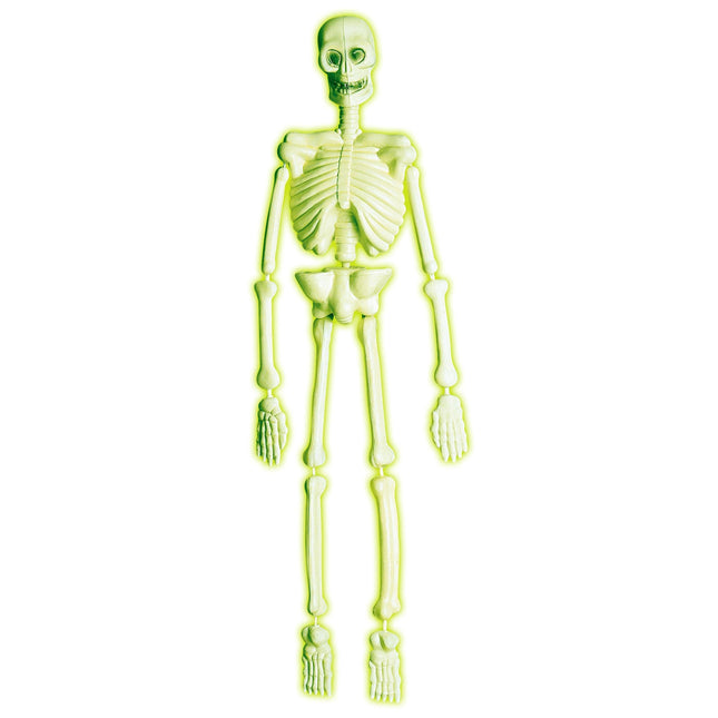 Halloween Skelett Labor 90cm