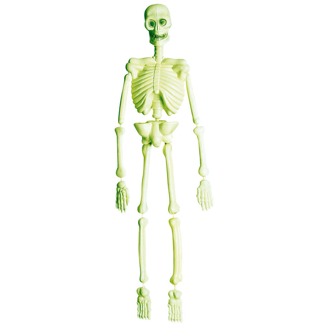 Halloween Skelett Labor 90cm