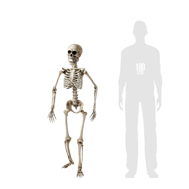 Halloween Skelett Weiß 1,6m