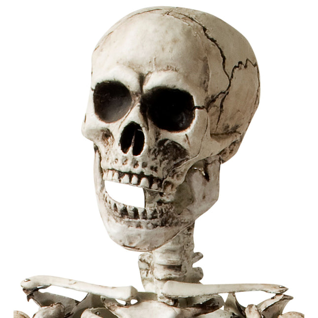 Halloween Skelett Weiß 1,6m