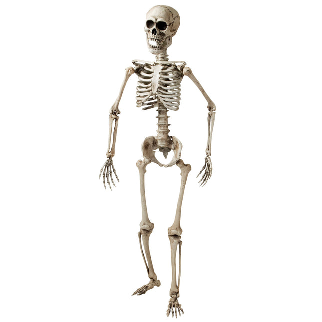 Halloween Skelett Weiß 1,6m