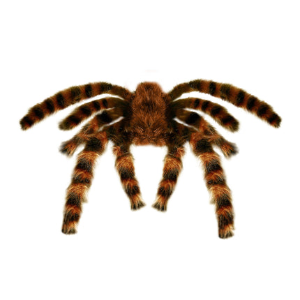 Halloween Attrappe Spinne 65cm