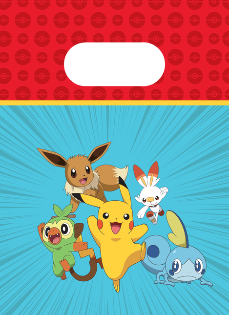 Pokemon Sharing Bags 22cm 4pcs