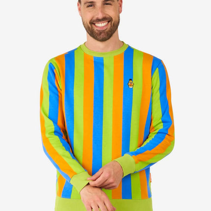 Sesamstraße Bert & Ernie Pullover für Herren, mehrfarbig