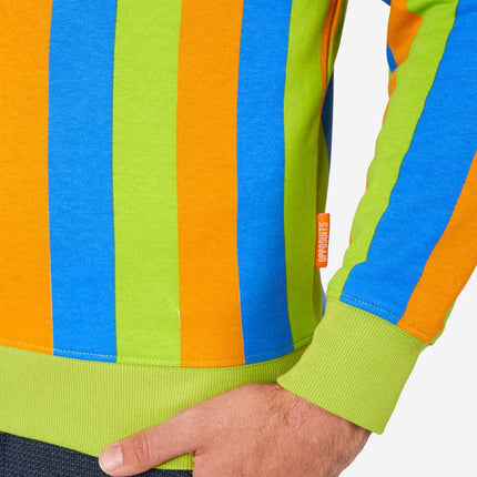 Sesamstraße Bert & Ernie Pullover für Herren, mehrfarbig