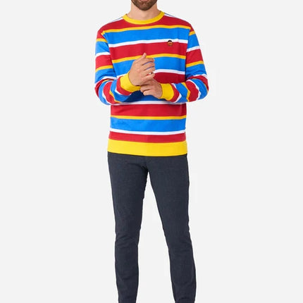 Ernie-Sesamstraße-Pullover für Erwachsene