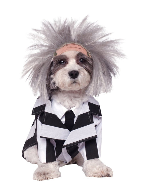 Beetlejuice Honden Kostuum van Rubies koop je bij Partywinkel
