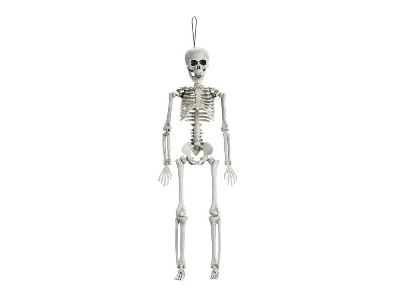 Halloween Skelett Weiß 40cm
