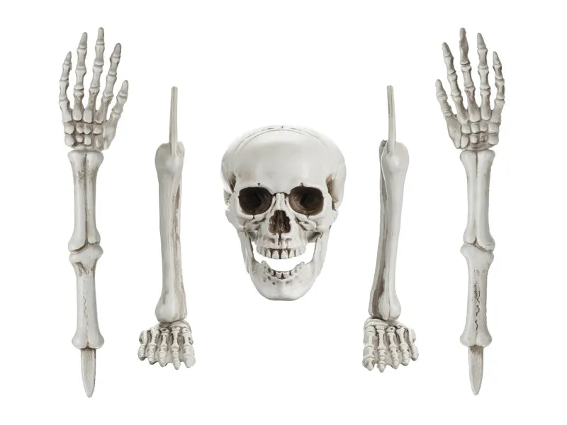 Halloween Skelett 5 Stück