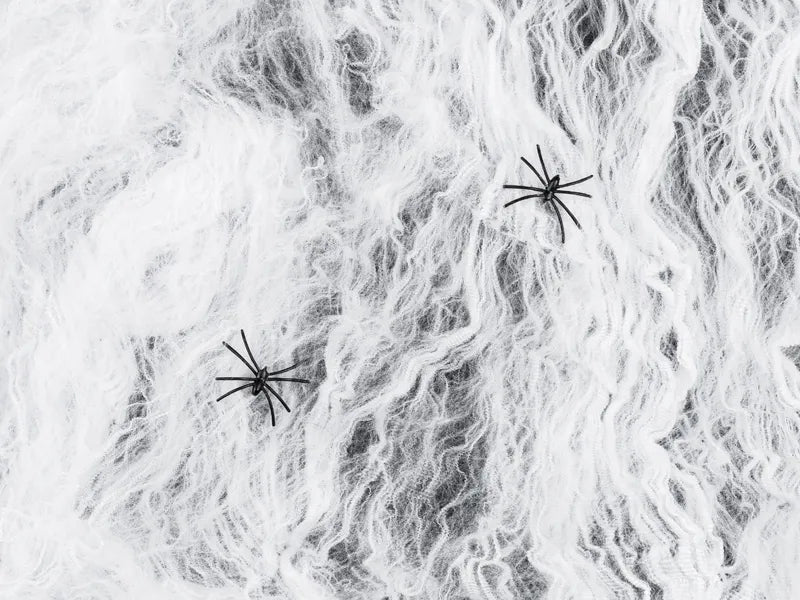 Halloween Spinnennetz Weiß Mit 2 Schwarzen Spinnen 200gr