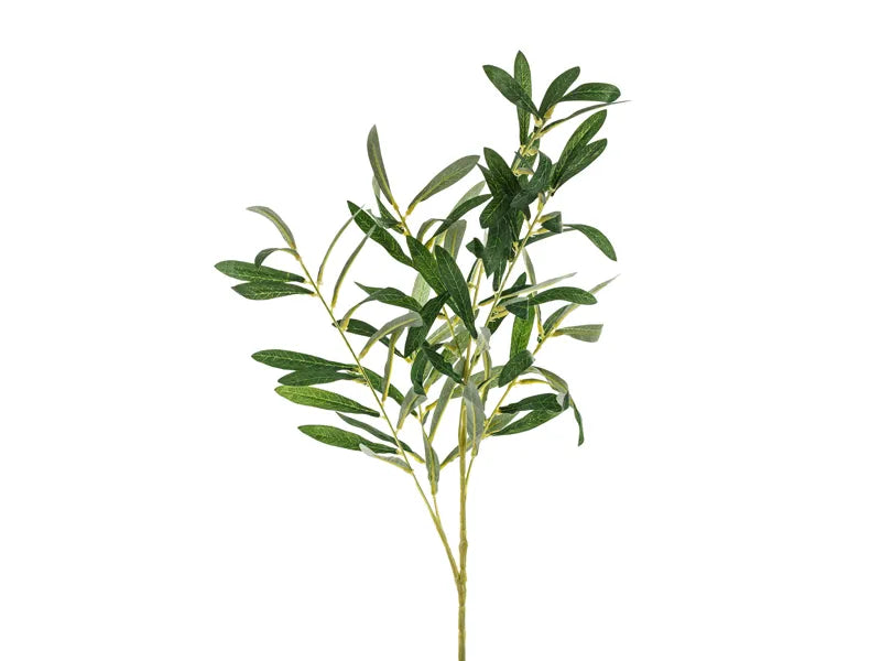 Grüner falscher Olivenzweig 91cm