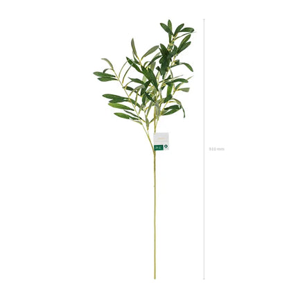 Grüner falscher Olivenzweig 91cm