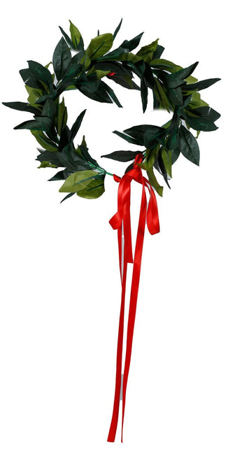 Bladeren Hoofdband - Partywinkel - 8434077137185