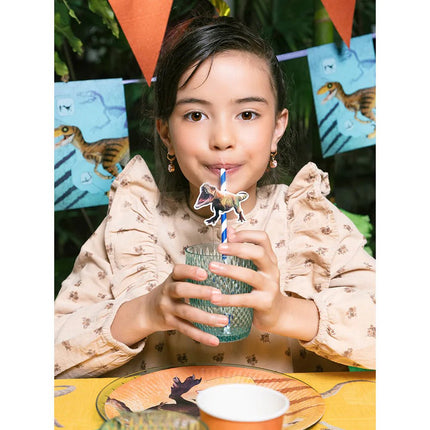 Dinosaurus Slinger Gekleurd 6m - Partywinkel - 8712026506009