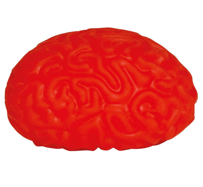 Doos 12 Elastische Hersenen, 8 Cms - Partywinkel - 8434077190869