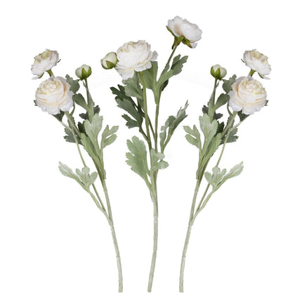 Droogbloemen Rancula Stems 45cm 3st van Ginger Ray koop je bij Partywinkel