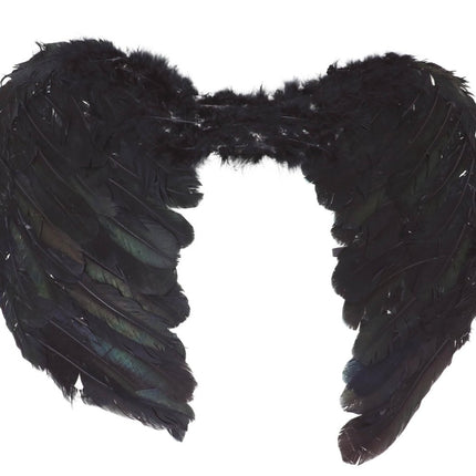 Engelen Vleugels Zwart 60cm van Fiestas Guirca koop je bij Partywinkel