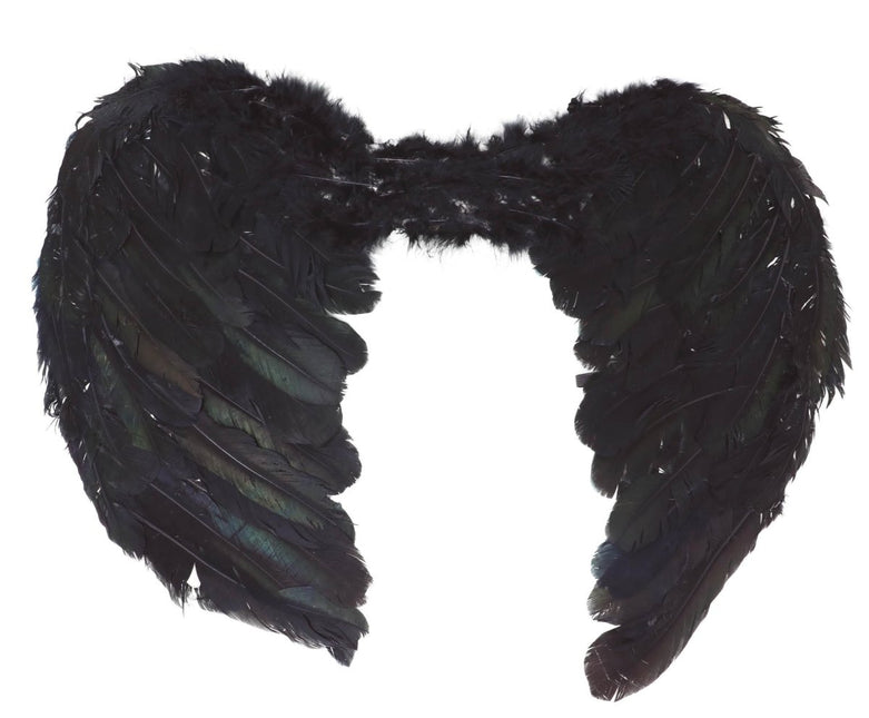 Engelen Vleugels Zwart 60cm van Fiestas Guirca koop je bij Partywinkel