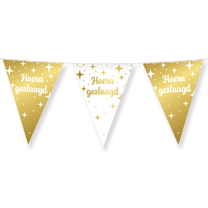 Fancy party Vlaggenlijn folie - Geslaagd van Paper Dreams koop je bij Partywinkel